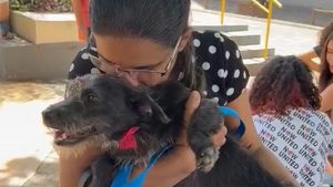 O Instituto Retornar demonstrou seu compromisso com o bem-estar animal ao estender uma mão solidária à cachorra Lilica, resgatada pela Ong Planeta dos Bichos.